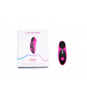 PACKUNG 10 EINHEITEN FERRI VIBRATOR HÖSCHEN MIT MAGNET
