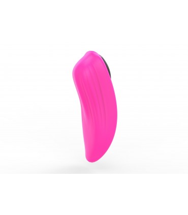 PACKUNG 10 EINHEITEN FERRI VIBRATOR HÖSCHEN MIT MAGNET