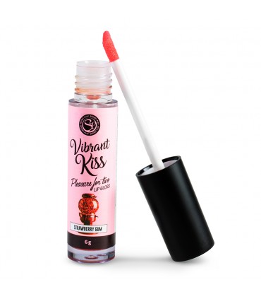 LIP GLOSS VIBRANT KISS CHICLE
