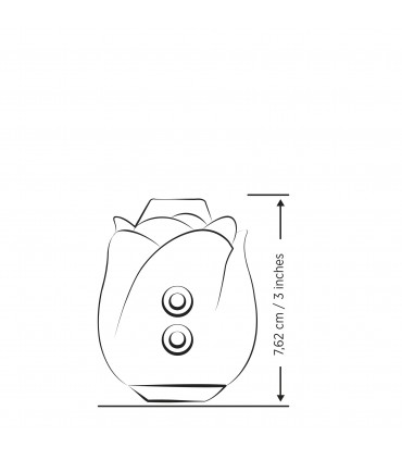 CINQUANTA SFUMATURE ROSE ASPIRAZIONE NERA