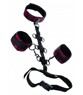 ATADURAS CUERPO COLLAR BODY RESTRAINT