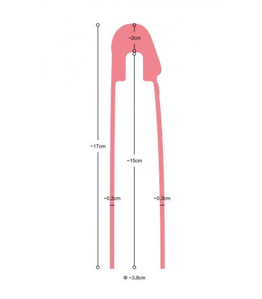 GAINE PÉNIS RÉALISTE S2 CHAIR 19.5 CM