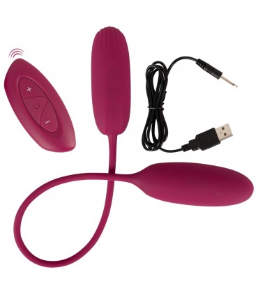 DUO D'OEUFS D'AMOUR SECOUANT ET VIBRANT RECHARGEABLE