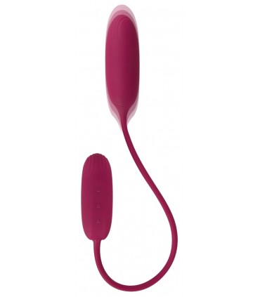 DUO D'OEUFS D'AMOUR SECOUANT ET VIBRANT RECHARGEABLE