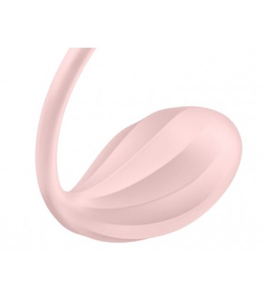 APPLICATION ET CONTRÔLE DE ROSE PÉTALE D'OEUF CÔTELÉ