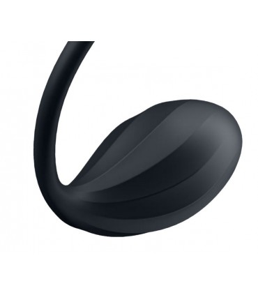 RIBBED PETAL EGG BLACK APP AND CONTROL