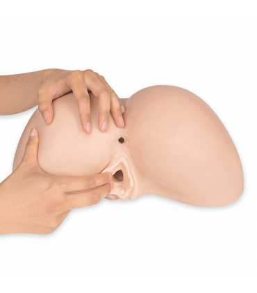 SILEXD CULO-VAGINA DAPHNE