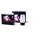 SHUNGA RAIN OF LOVE CREME - 30ML