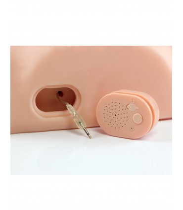 DIRTY TALK INTERACTIVE FUCK HIM SILLY LIGHT