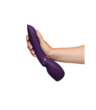 BACCHETTA WE-VIBE VIOLA 2