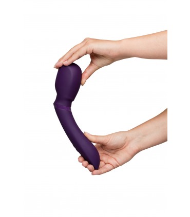 BACCHETTA WE-VIBE VIOLA 2
