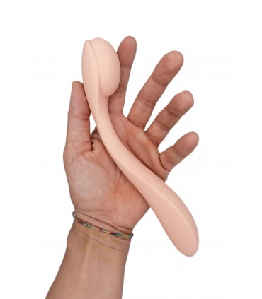 TOTALLY CASUAL TULIP