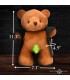 SHOW BEAR EXHIBITIONIST PLUSH
