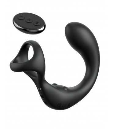 ASS-GASM TAINT-ALIZER