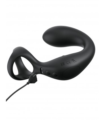 ASS-GASM TAINT-ALIZER