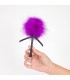 PLUME VIOLET