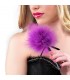 PLUME VIOLET