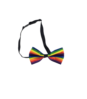 Fliege mit Regenbogenflagge