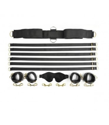 SPECIAL EDITION UNDER THE BED RESTRAINT SYSTEM®