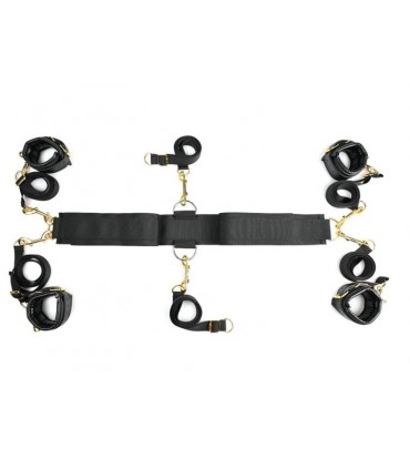 SPECIAL EDITION UNDER THE BED RESTRAINT SYSTEM®